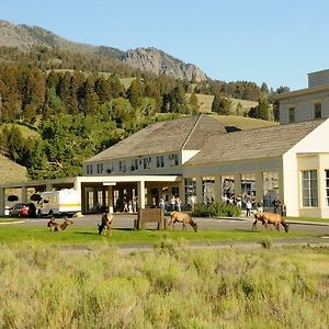 Mammoth Hot Springs